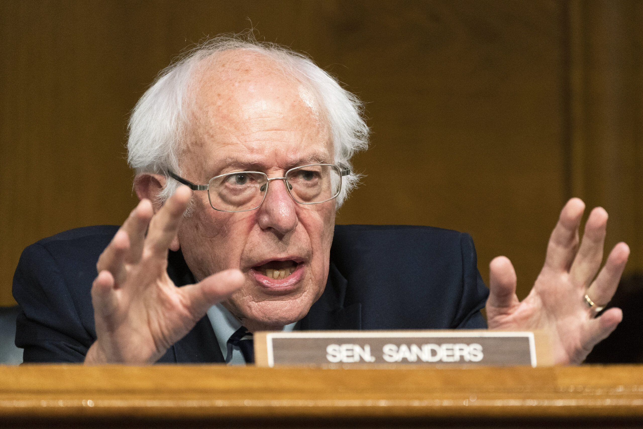 Senator Bernie Sanders (D-VT)